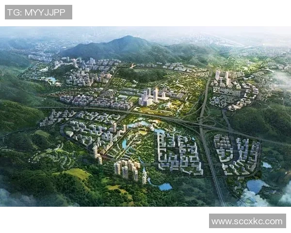 朱旭航：探索技术前沿与人文关怀的交汇点，推动未来创新提升之路