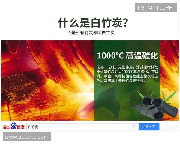 白帽黑客与伐木者的较量:技术与自然的对抗与和谐之路 白帽黑客与伐木者的较量:技术与自然的对抗与和谐之路