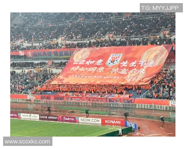 鲁能对阵庆南亚冠直播全部程回顾及精彩瞬间分析